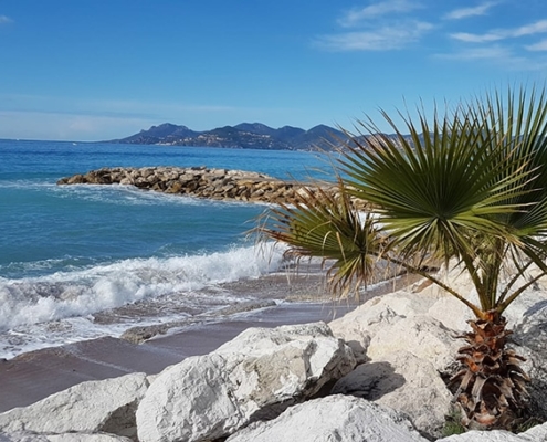 Meerblick von Cannes