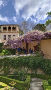 filter: 0; fileterIntensity: 0.0; filterMask: 0; brp_mask:0;
brp_del_th:null;
brp_del_sen:null;
delta:null;
module: photo;hw-remosaic: false;touch: (-1.0, -1.0);sceneMode: 2;cct_value: 0;AI_Scene: (-1, -1);aec_lux: 0.0;aec_lux_index: 0;albedo:  ;confidence:  ;motionLevel: -1;weatherinfo: null;temperature: 27;